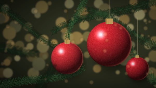 Red frosted Christmas baubles hanging on a fir tree with warm twinkling lights